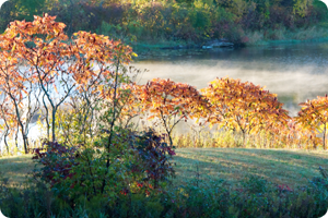 Quiet Heart Music Testimonial